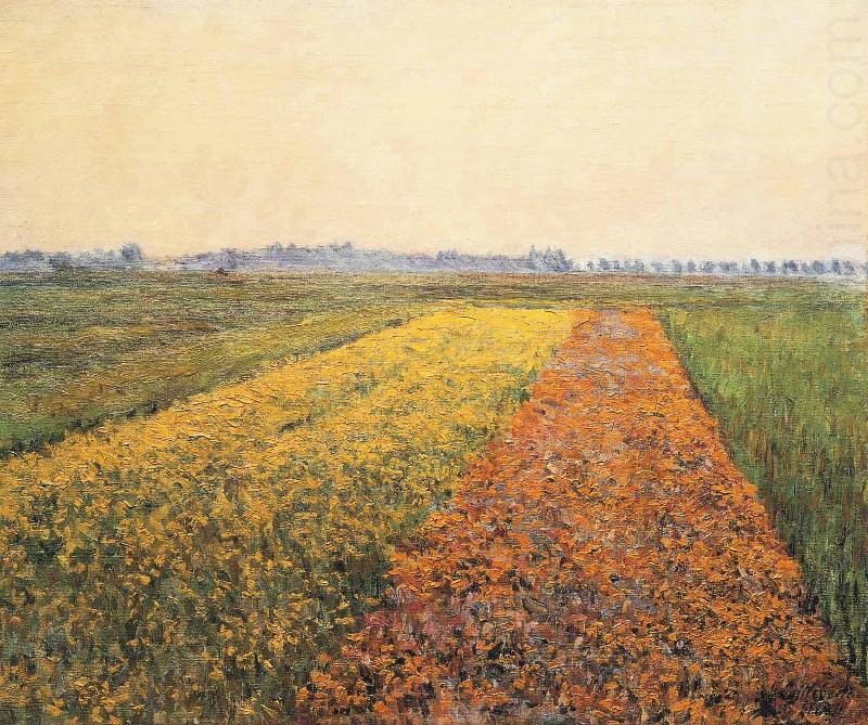 The Yellow Fields at Gennevilliers, Gustave Caillebotte